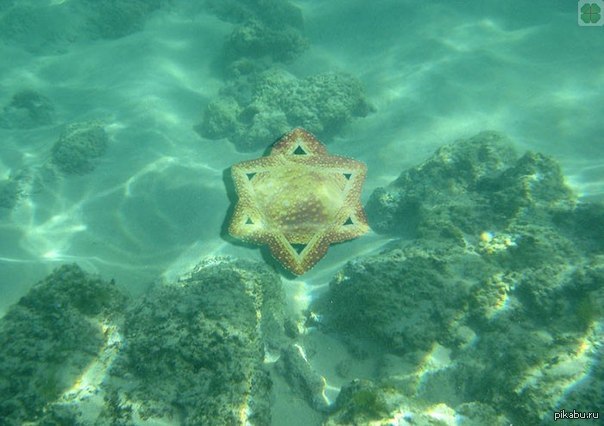 Где-то на пляже Тель-Авива...