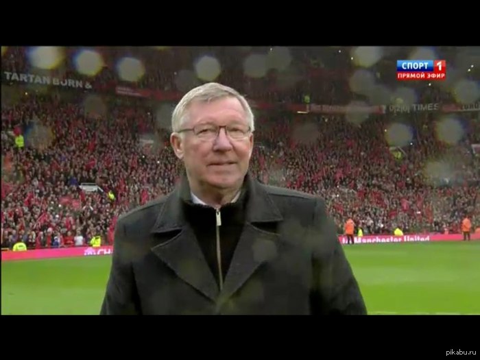 Спасибо, САФ !