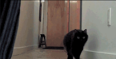 ����� ����������� � ������� �������