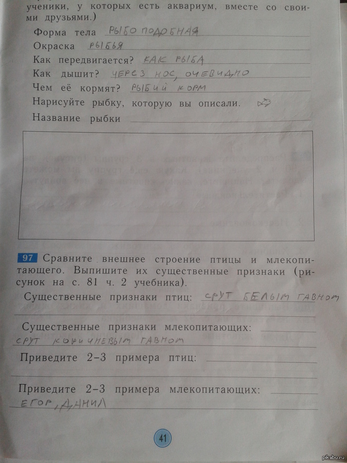 Помог с домашним заданием