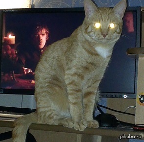 ����� ����� �����...