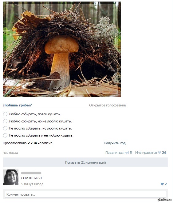 ����� ������ � ��������