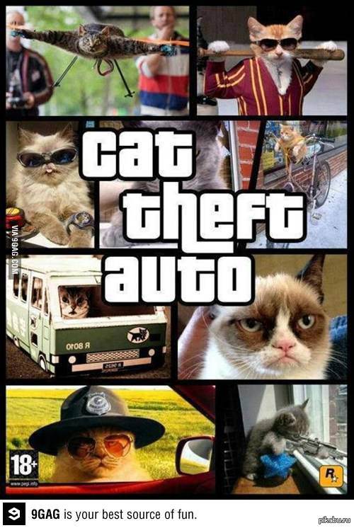 Cat Theft Auto :)     