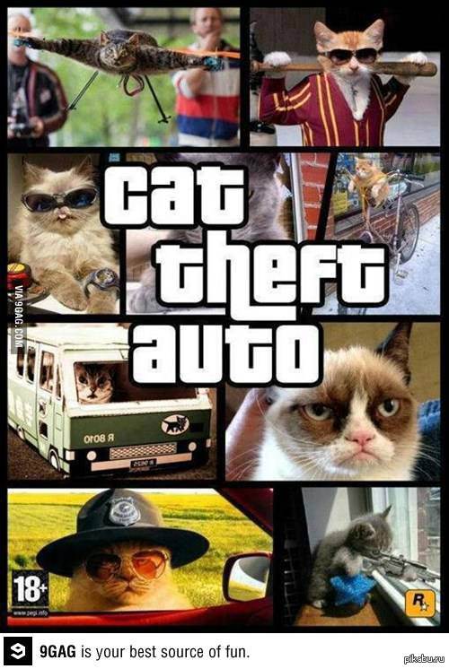 Cat Theft Auto :)