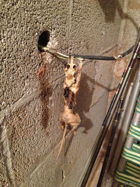 ��� ��� ������ � ����� ������� ����� �������.