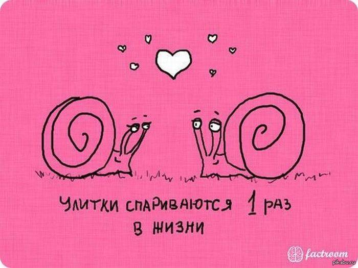 Всем foreveralone посвящается