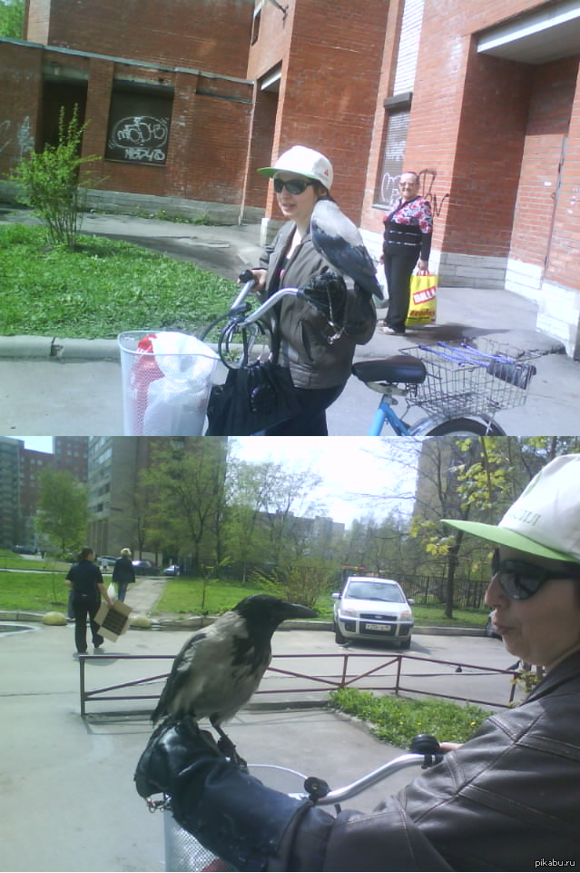 Вот такую прикольную тётку с каркушей сегодня встретил)))