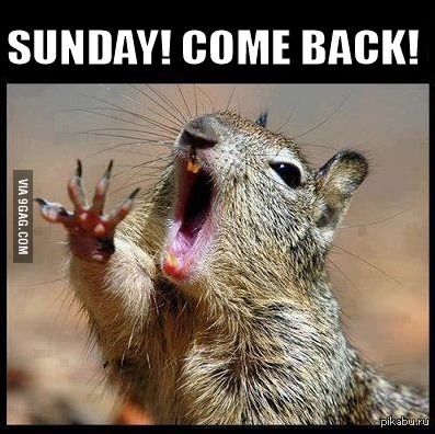 Утро понедельника: "Воскресенье, вернись!"