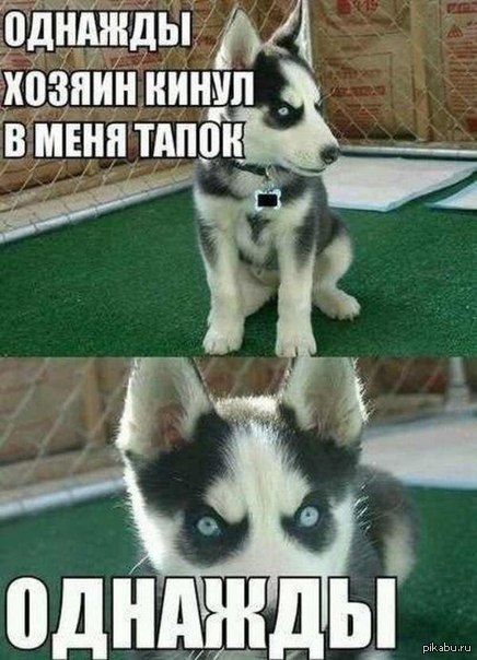 Ибо нехрен...