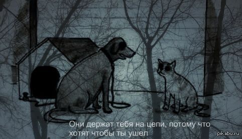 В ответ на этот пост http://pikabu.ru/story/_1244502