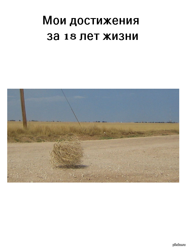 � ��� ���� ������ ����������