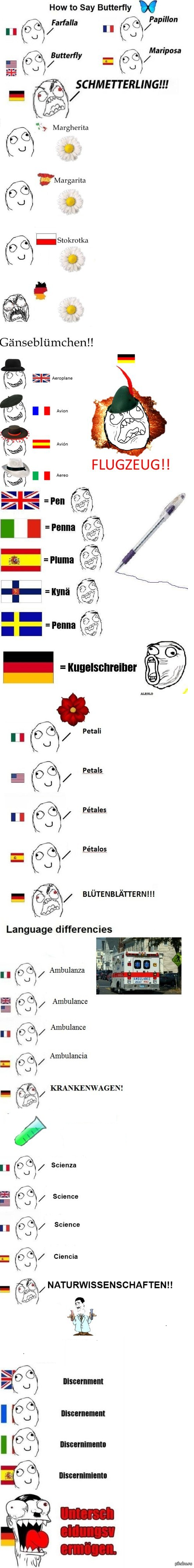 �������� ����� ��������