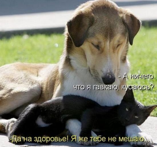 ���� ����... ��� ����...