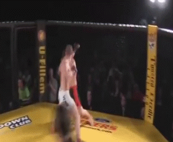 Двойной нокаут