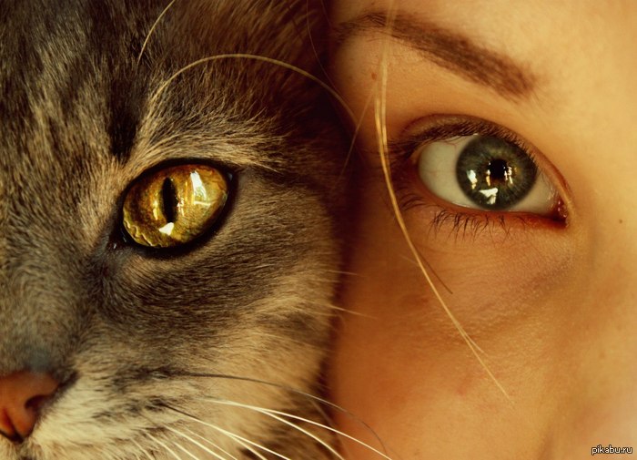 ������� ��� ����� �������))