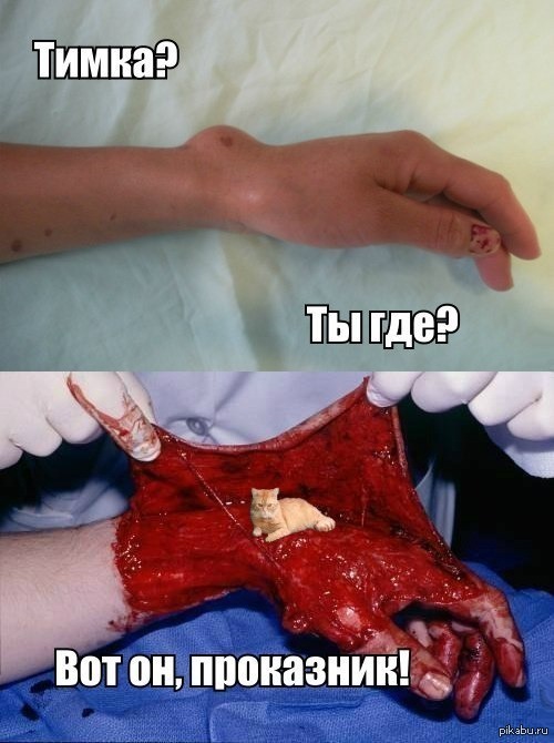 �����-���������