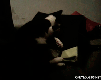 Плохой сон приснился.