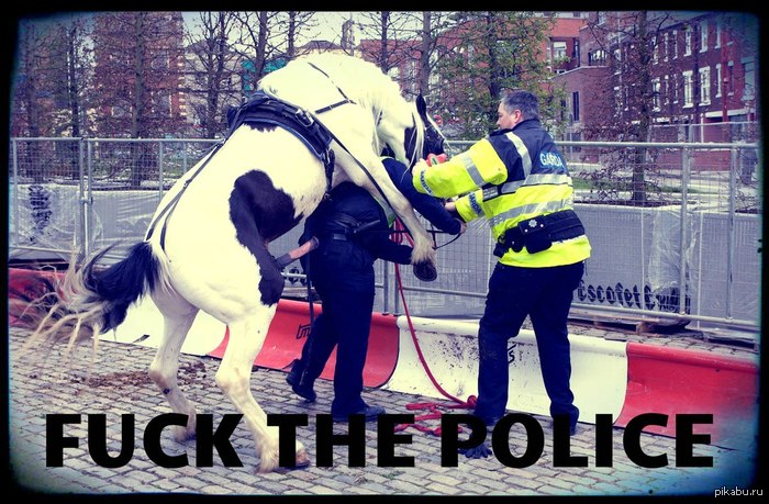 Wow-Wow, horse, palehche! - NSFW, Police, Fuck, Horses, Fak (gesture)