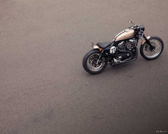 ���� ������ �� ������� ���� ?