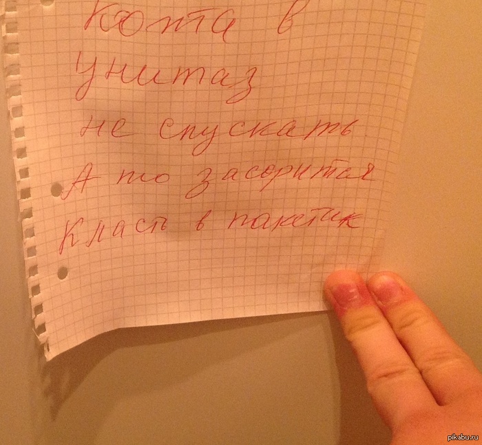 ���� ������������