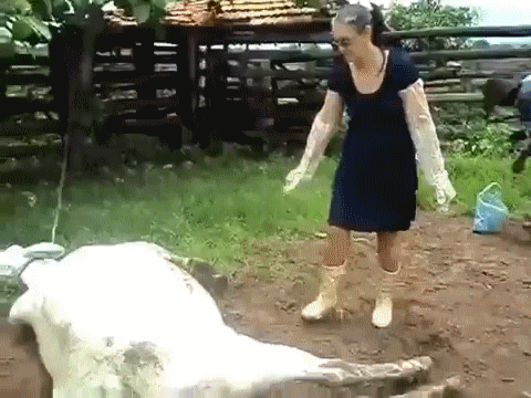 �� ���� ������!