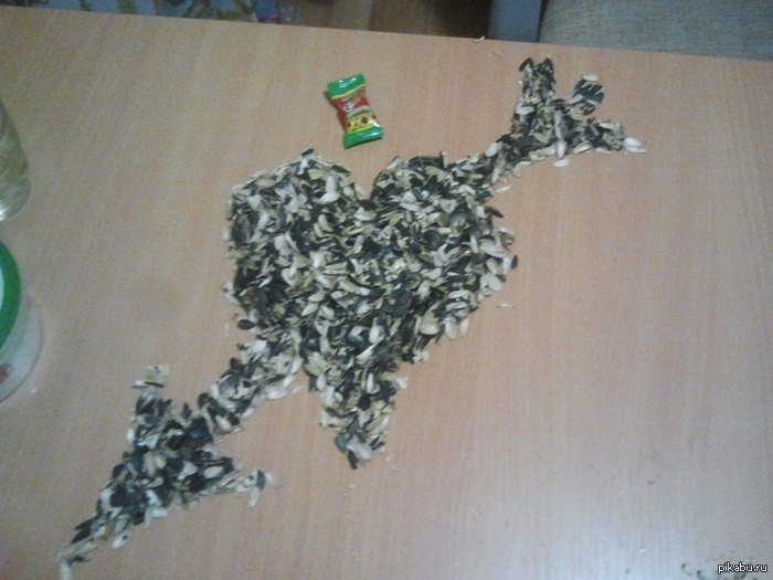 ���������..