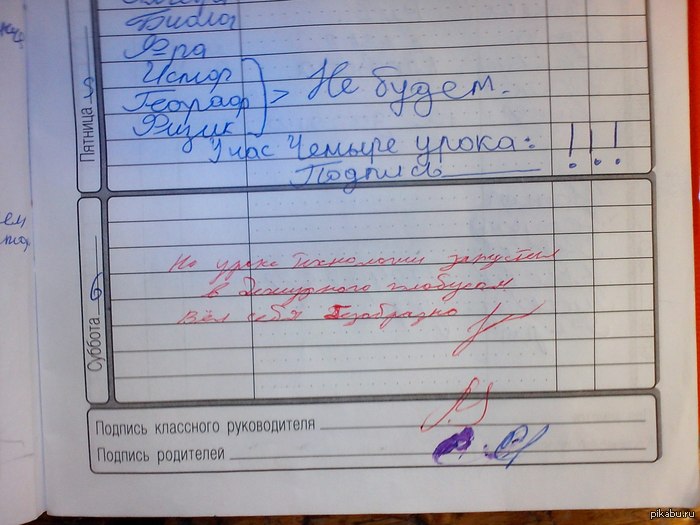 Запись в дневнике