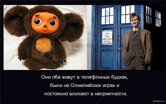 Чем то похожи)) | Пикабу