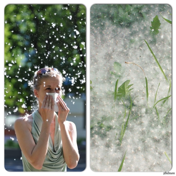 Скоро во всех ушах, носах, и ртах страны!  Ненавижу!