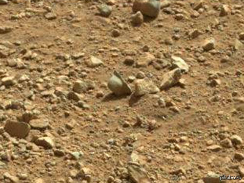 �� ����� ���������� �������� ����� ������ ������ �������