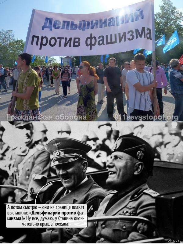 регионалы vs Гитлер | Пикабу