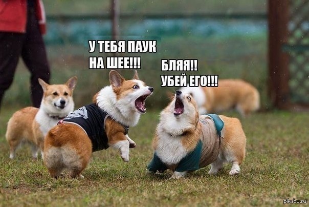 , ) 