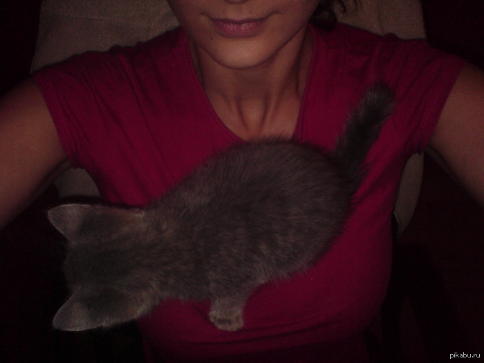 �������������