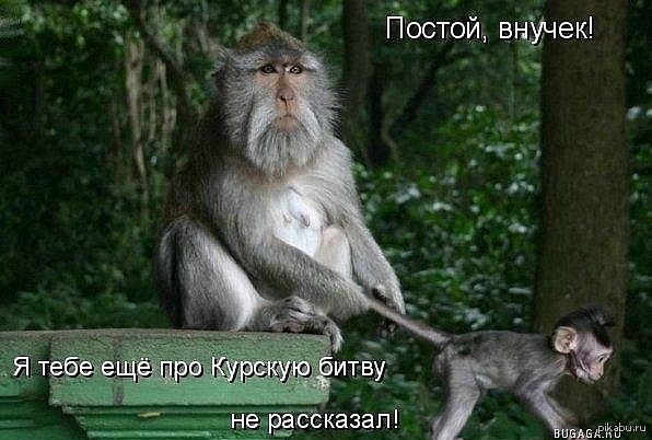   ) 