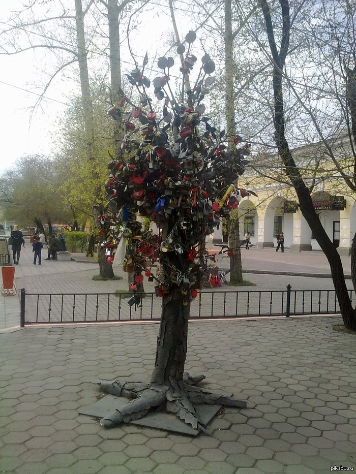 Дерево с замками в москве