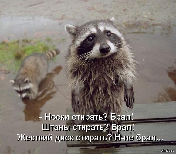Кто стирал жесткий диск?) | Пикабу
