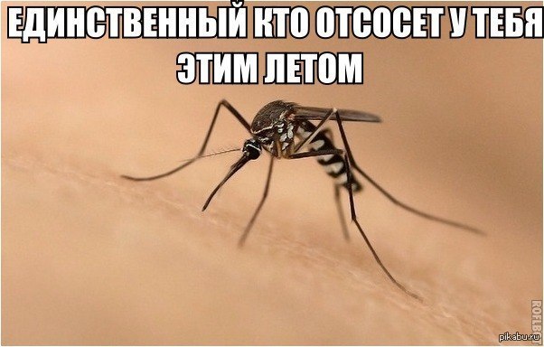К сожалению так) | Пикабу