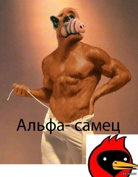 ����� �����)