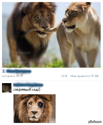 ���� ���� �������� XD
