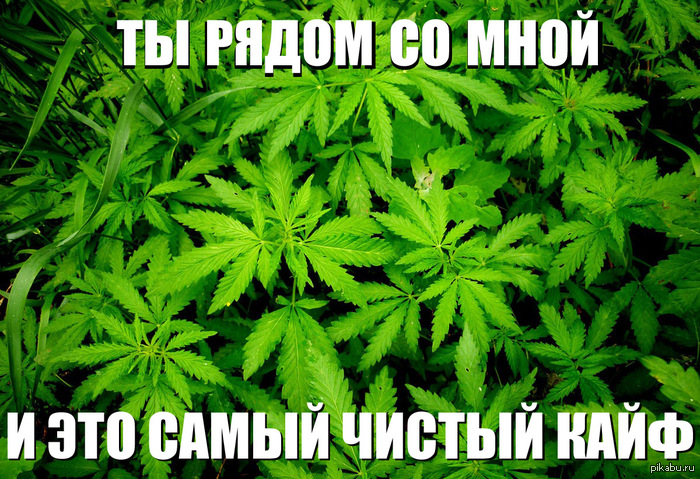 Вот что я думаю, когда слышу заунылую песню Басты про кайф...