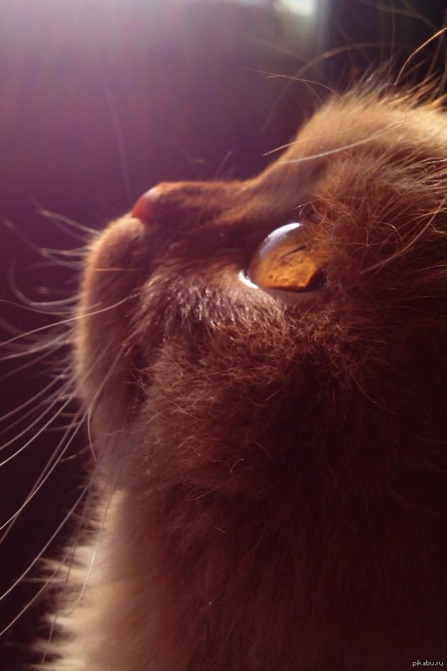 �����������: ��� ����!