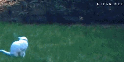 ����-������