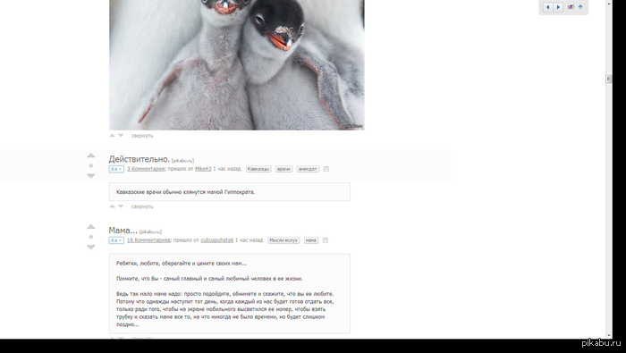 ����������?