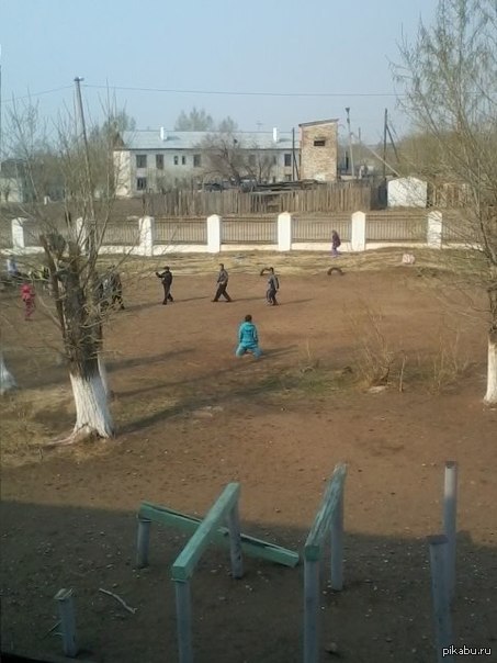 Повезло сфотать