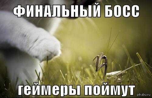 ��������� ����