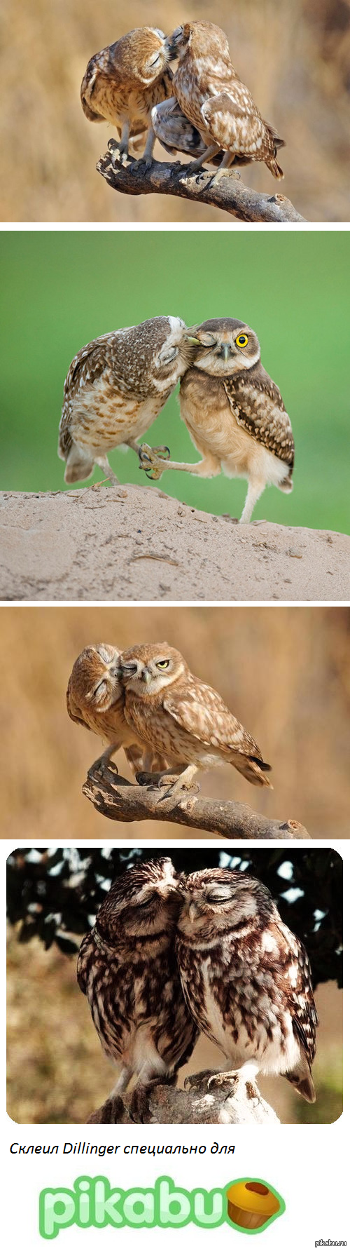 ���� ! ����� ���� !