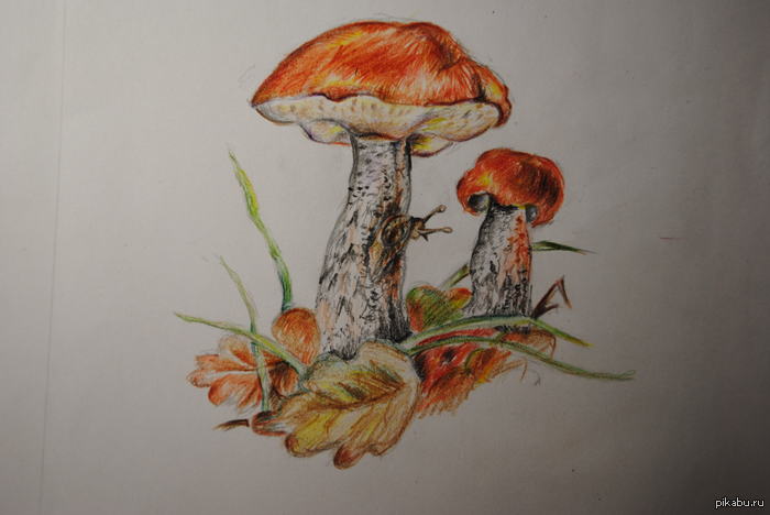 ������� ������ ����� (����� 6) ��. ������