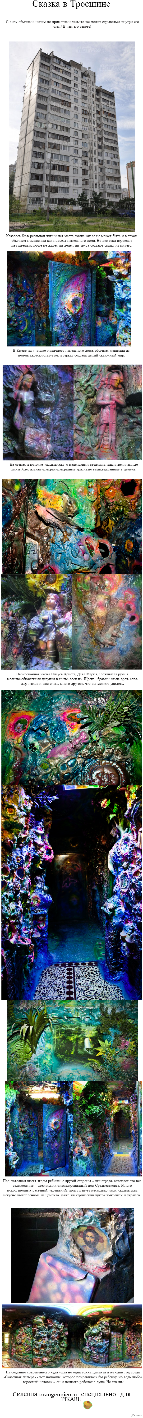 C�������� ���� �13