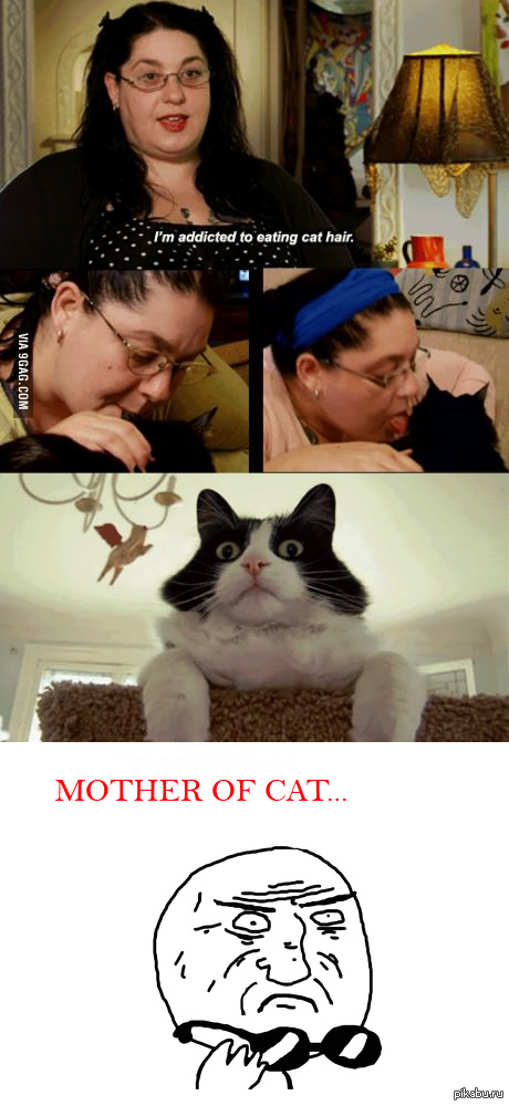 "� ���� ����������� ���� ... ������� ������"