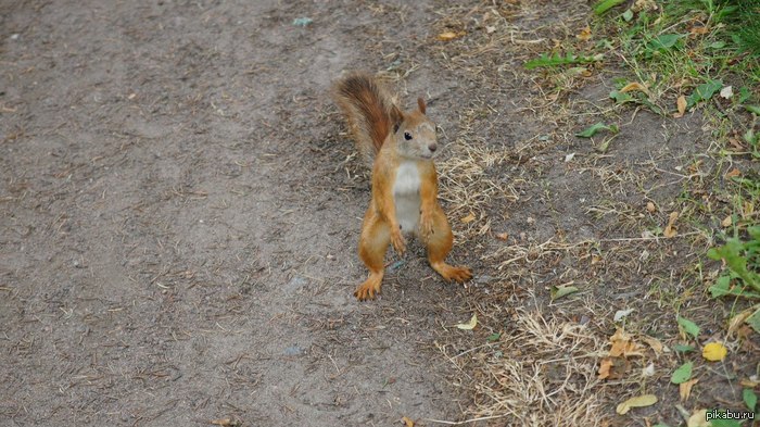 ������ ��������� �����)